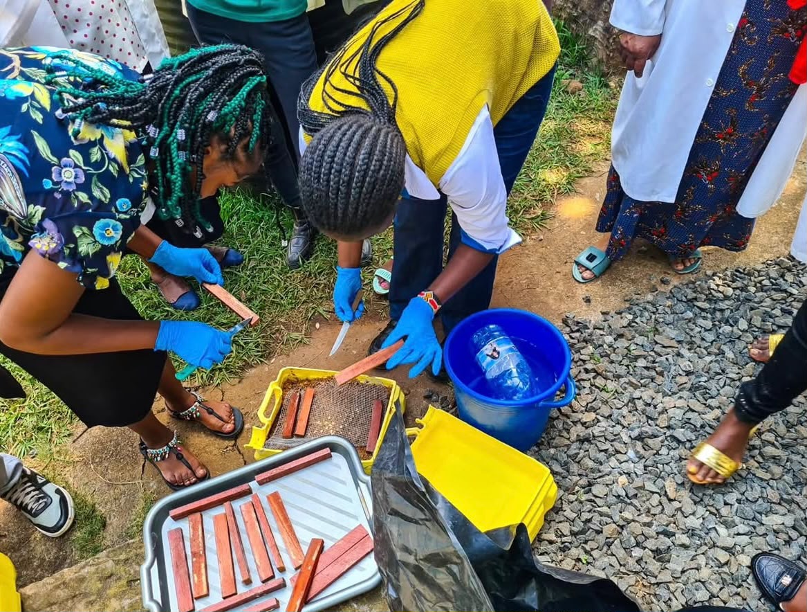 Young women taking part in a community recycling activity