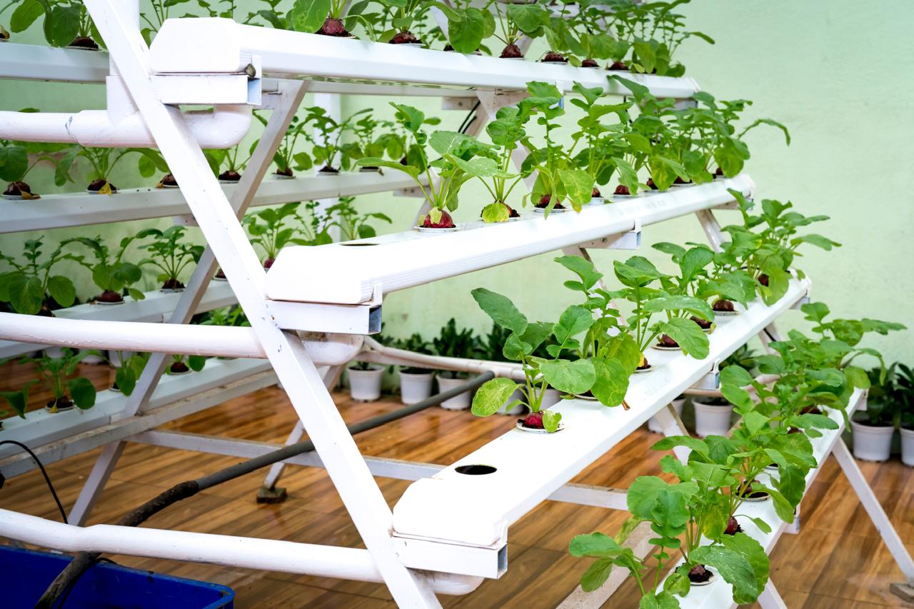Hydroponic vegetable farming supporting sustainable livelihoods